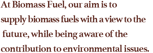 At Biomass Fuel, our aim is to supply biomass fuels with a view to the future, while being aware of the contribution to environmental issues.